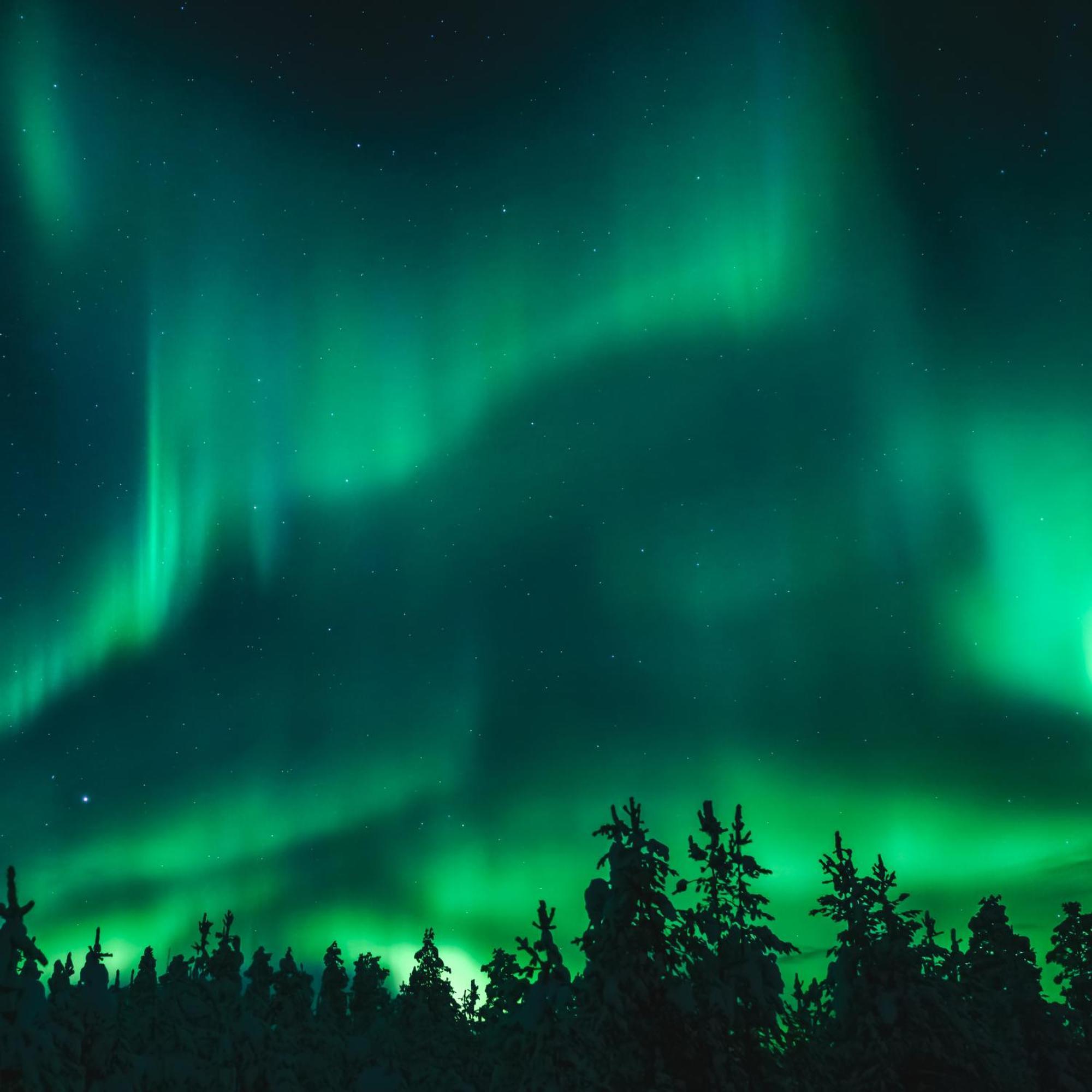 Вилла Skog Aurora Igloos Каликс Экстерьер фото