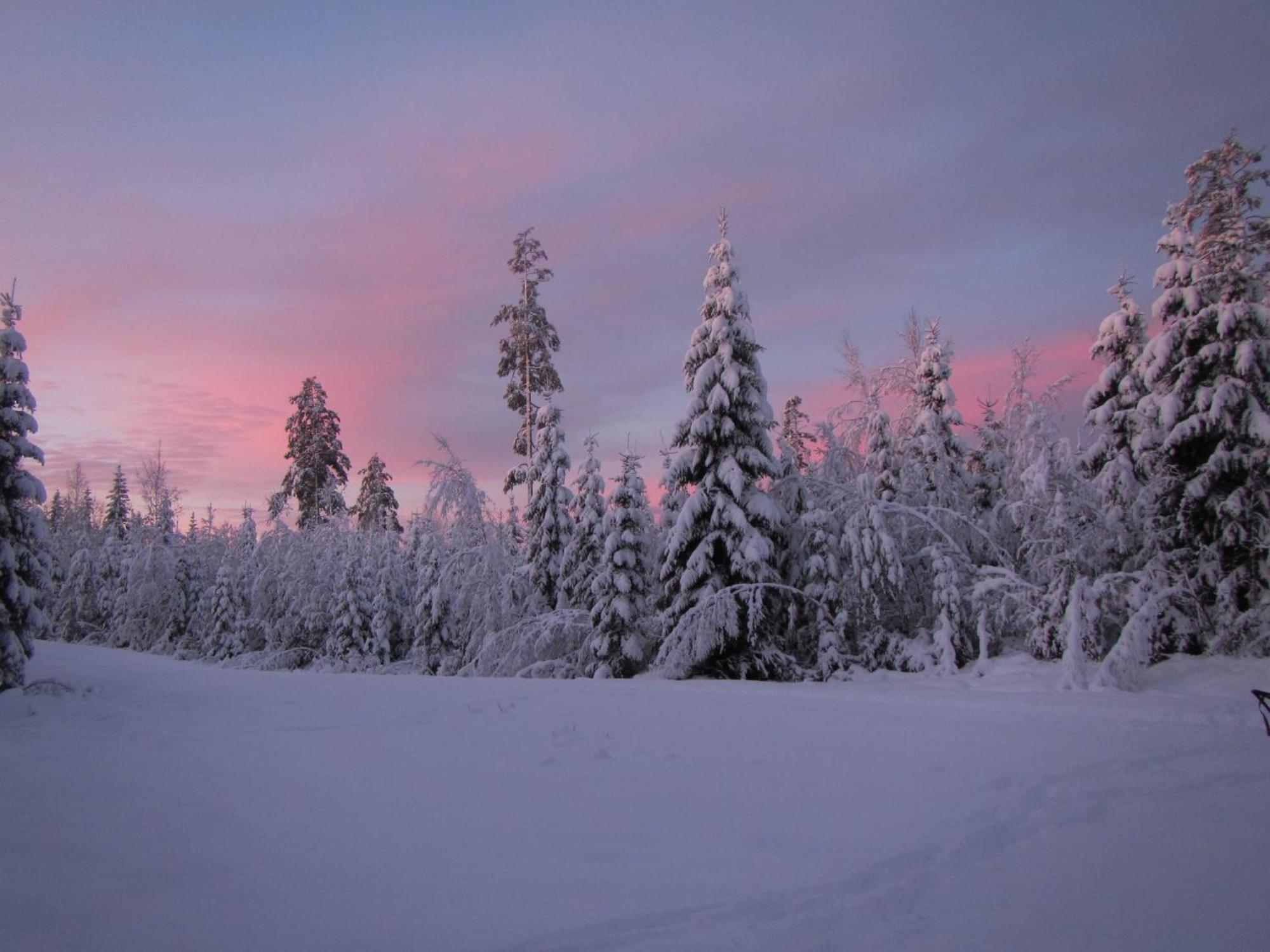 Вилла Skog Aurora Igloos Каликс Экстерьер фото