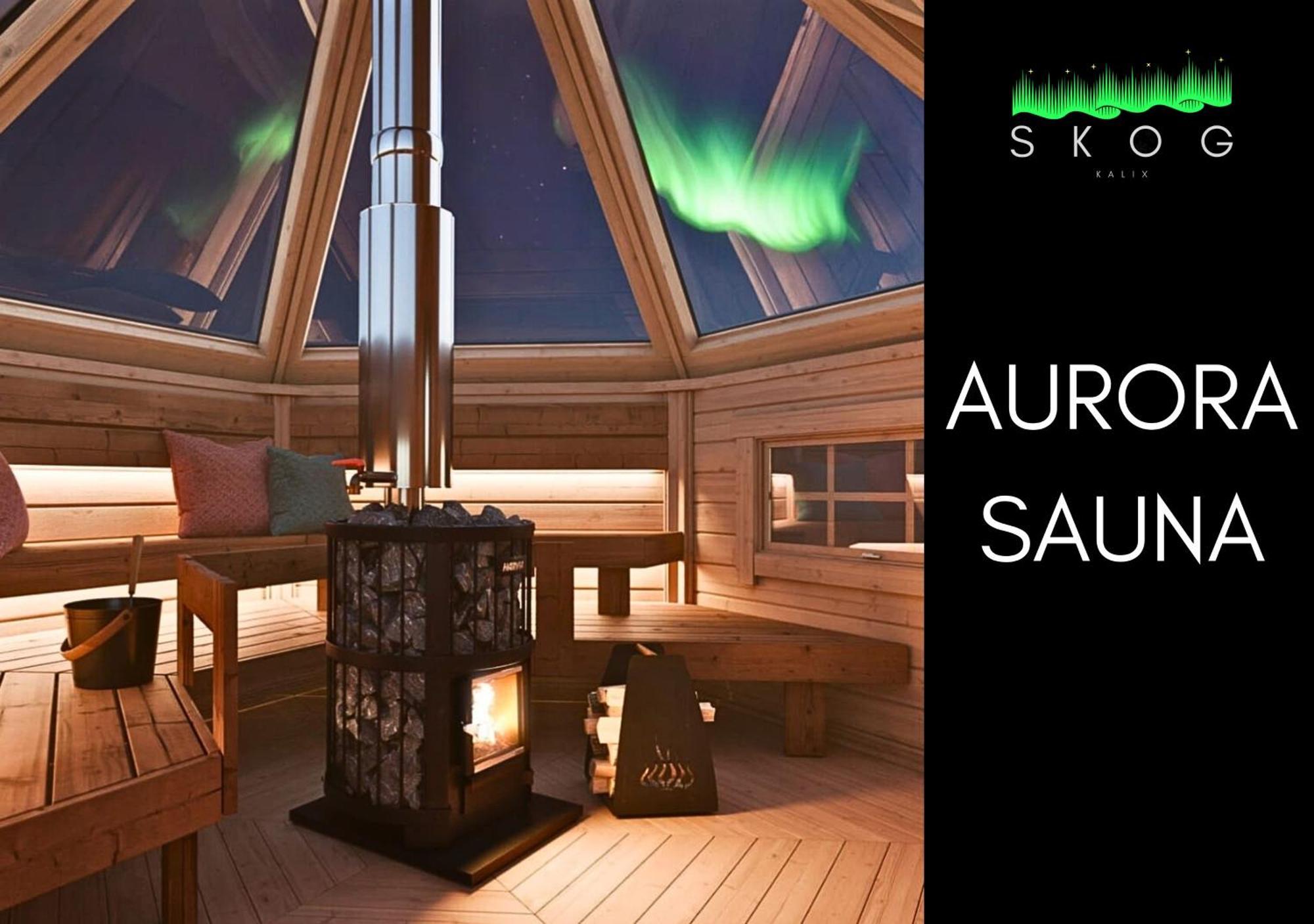 Вилла Skog Aurora Igloos Каликс Экстерьер фото