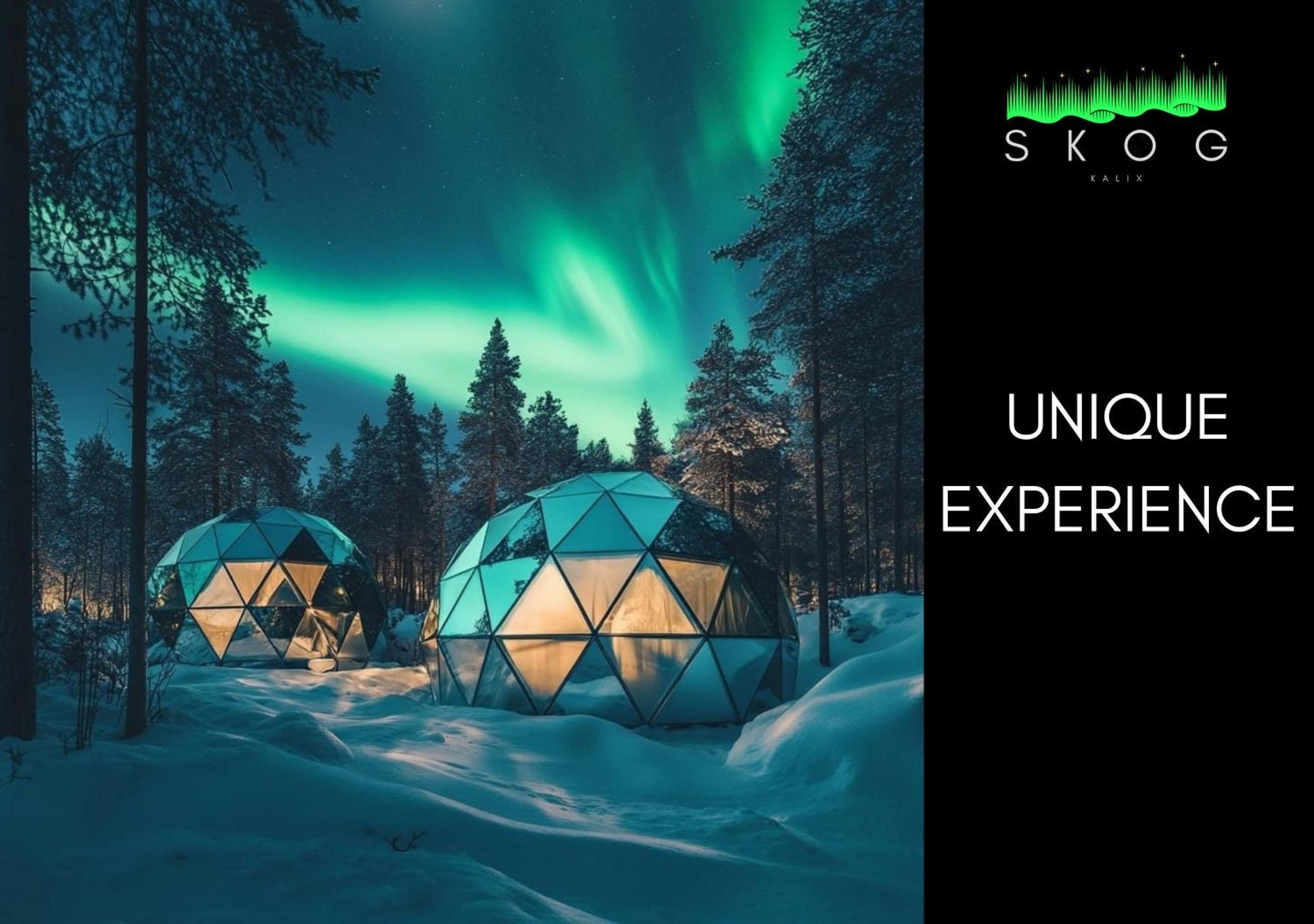 Вилла Skog Aurora Igloos Каликс Экстерьер фото