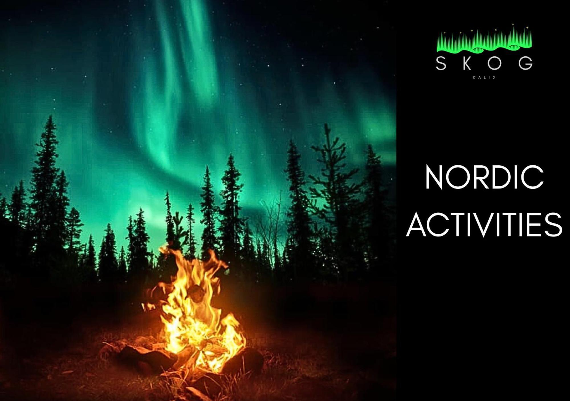 Вилла Skog Aurora Igloos Каликс Экстерьер фото