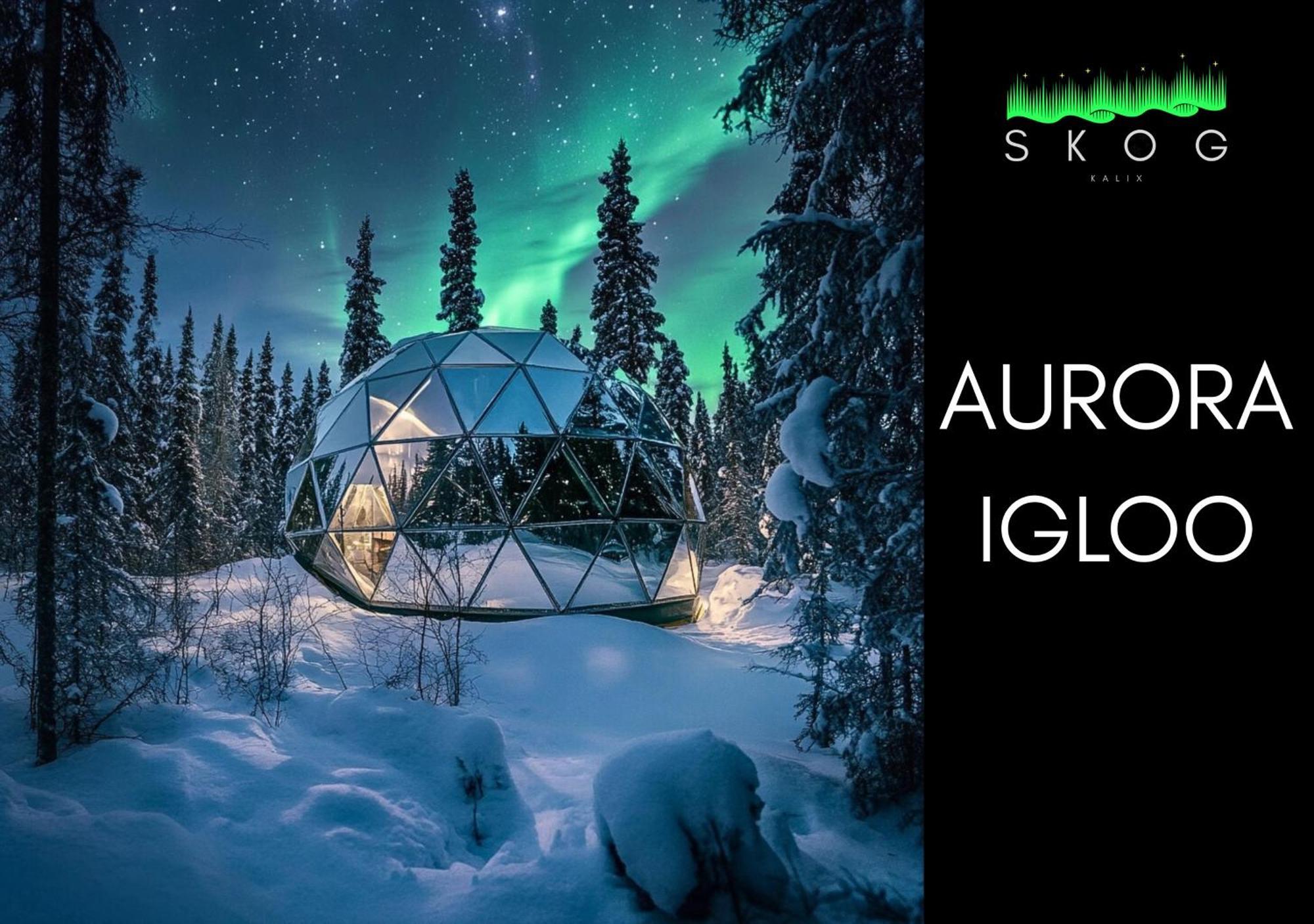 Вилла Skog Aurora Igloos Каликс Экстерьер фото