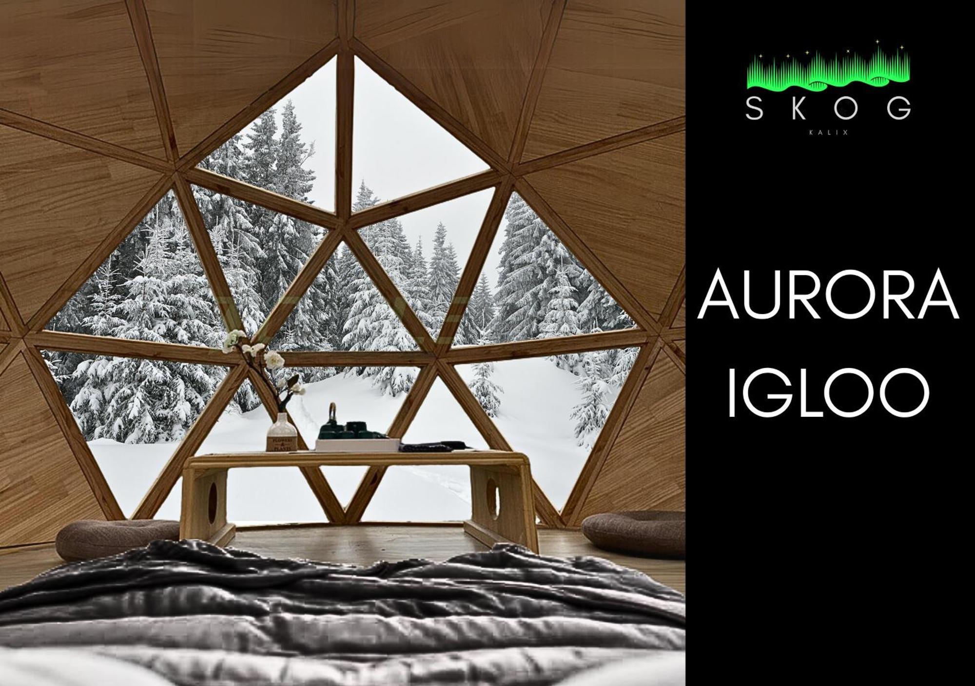 Вилла Skog Aurora Igloos Каликс Экстерьер фото