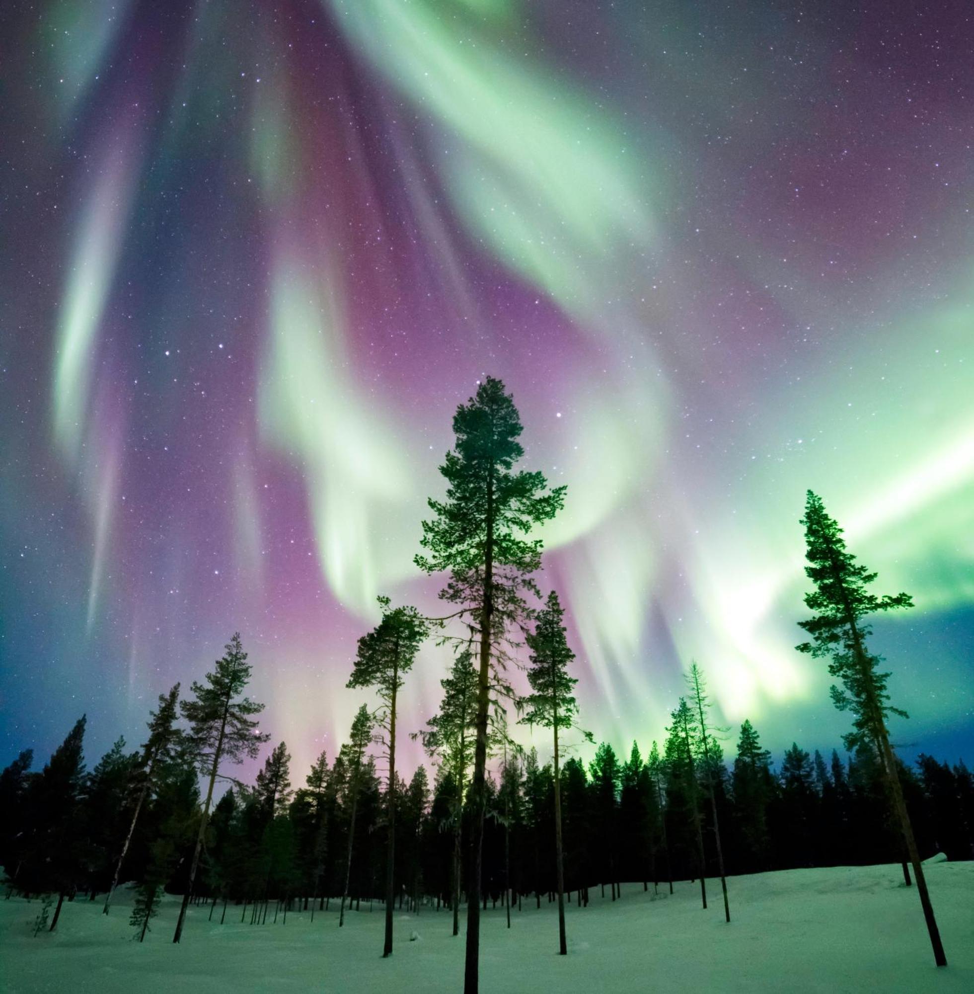 Вилла Skog Aurora Igloos Каликс Экстерьер фото