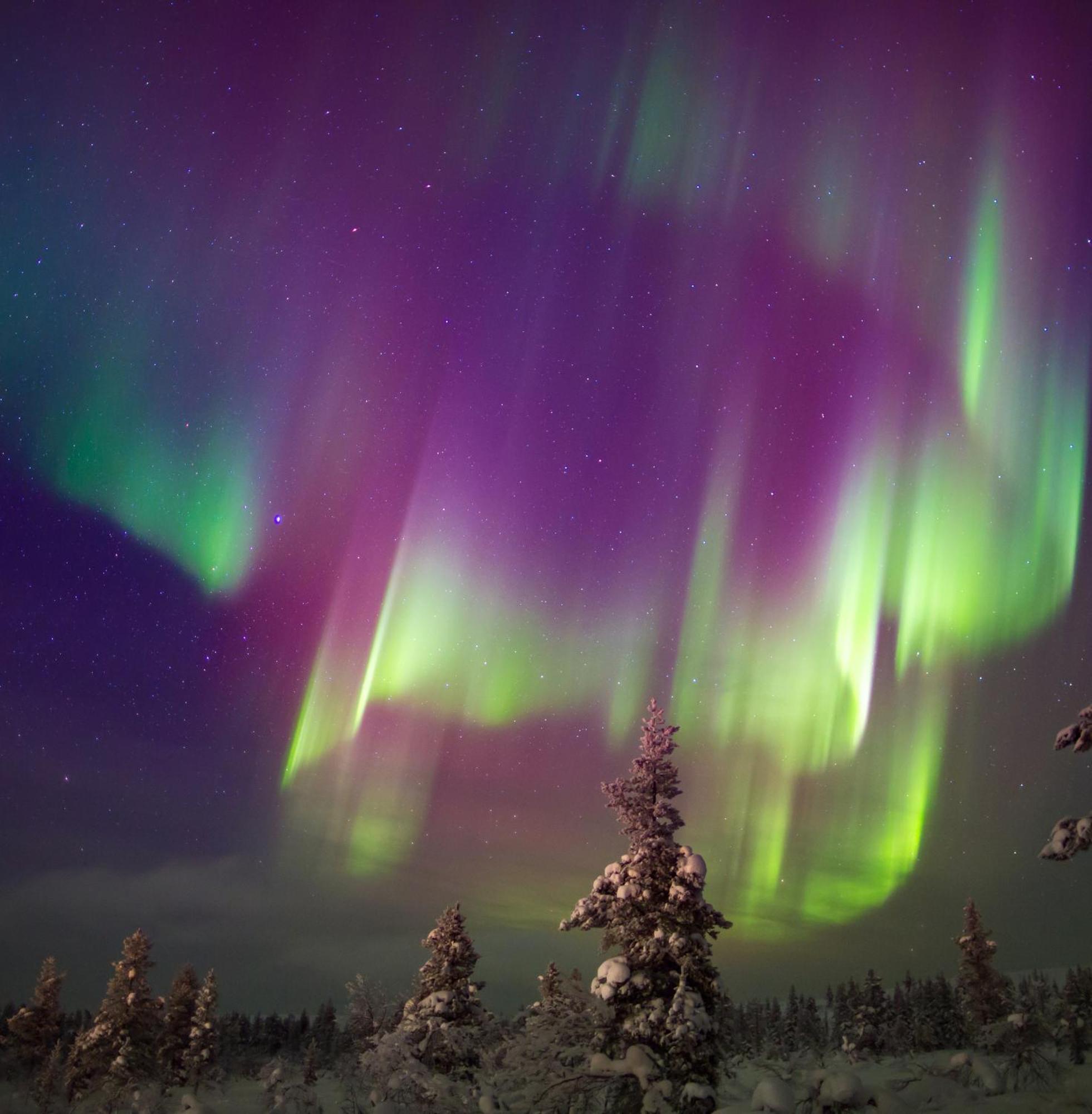 Вилла Skog Aurora Igloos Каликс Экстерьер фото