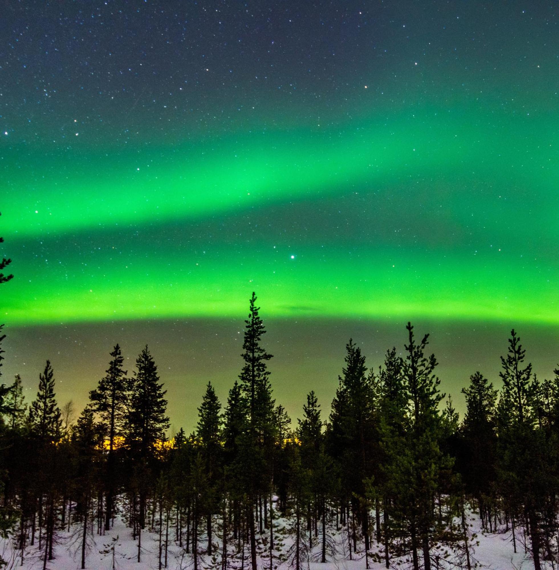 Вилла Skog Aurora Igloos Каликс Экстерьер фото