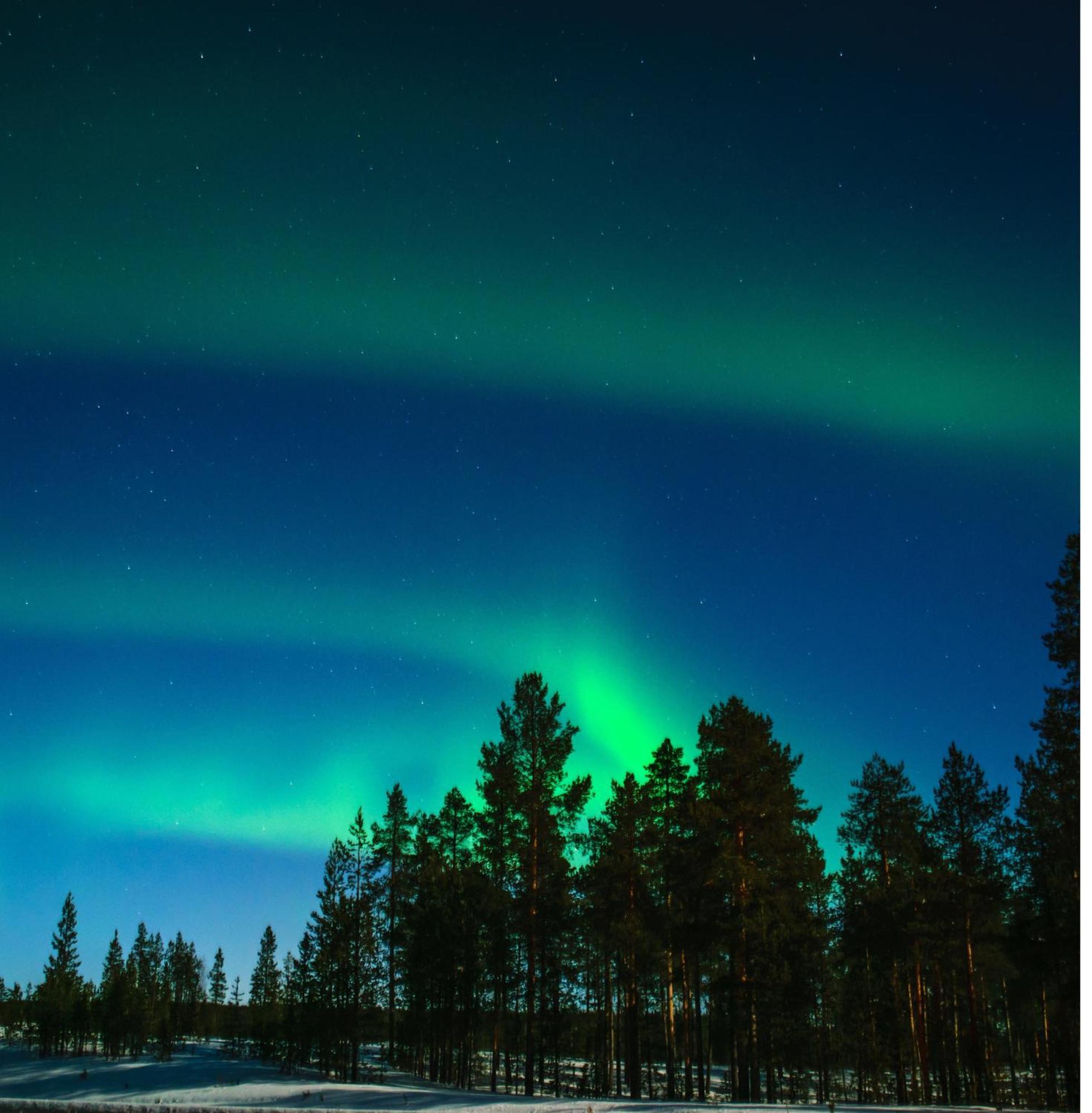Вилла Skog Aurora Igloos Каликс Экстерьер фото