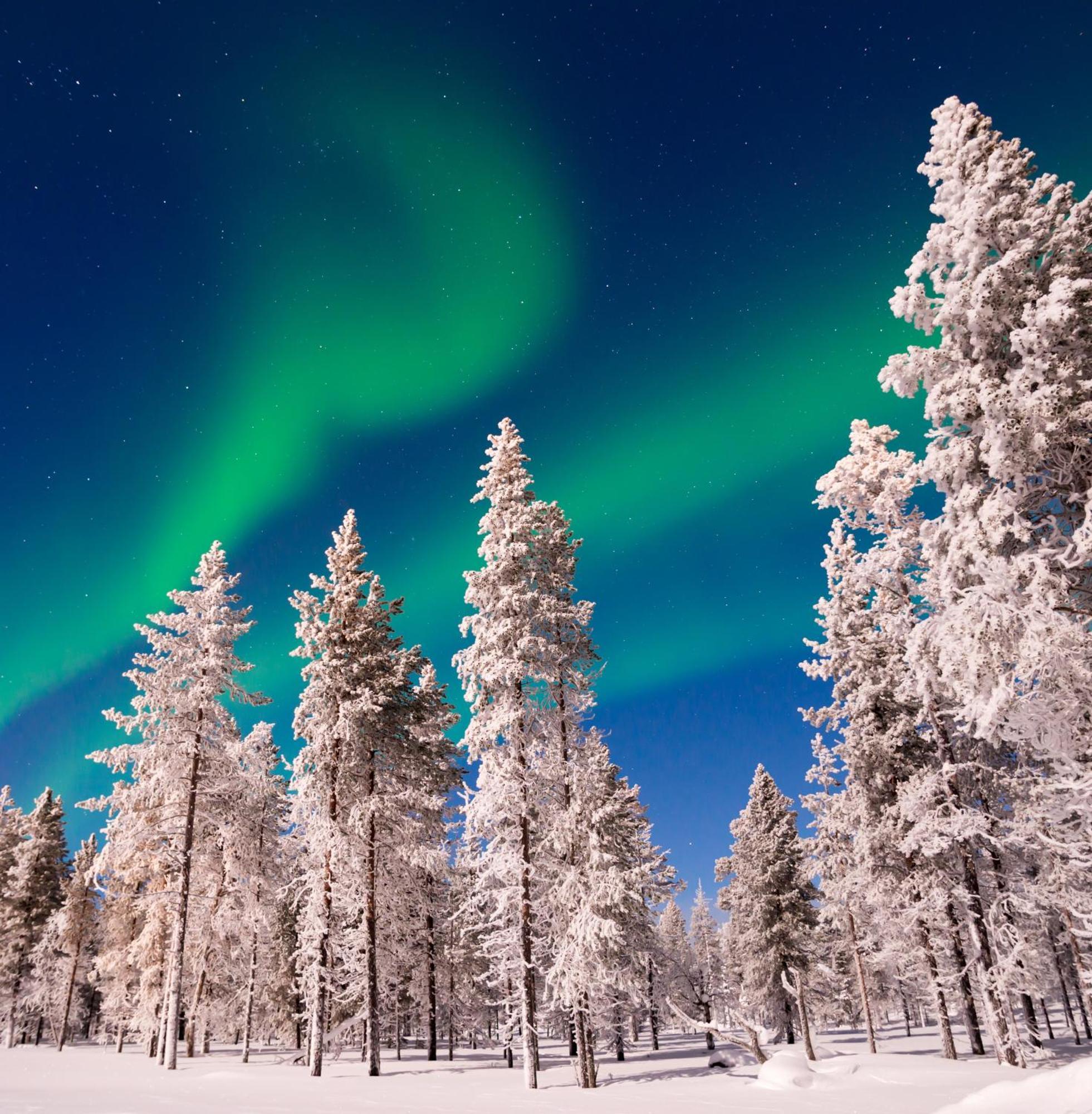 Вилла Skog Aurora Igloos Каликс Экстерьер фото