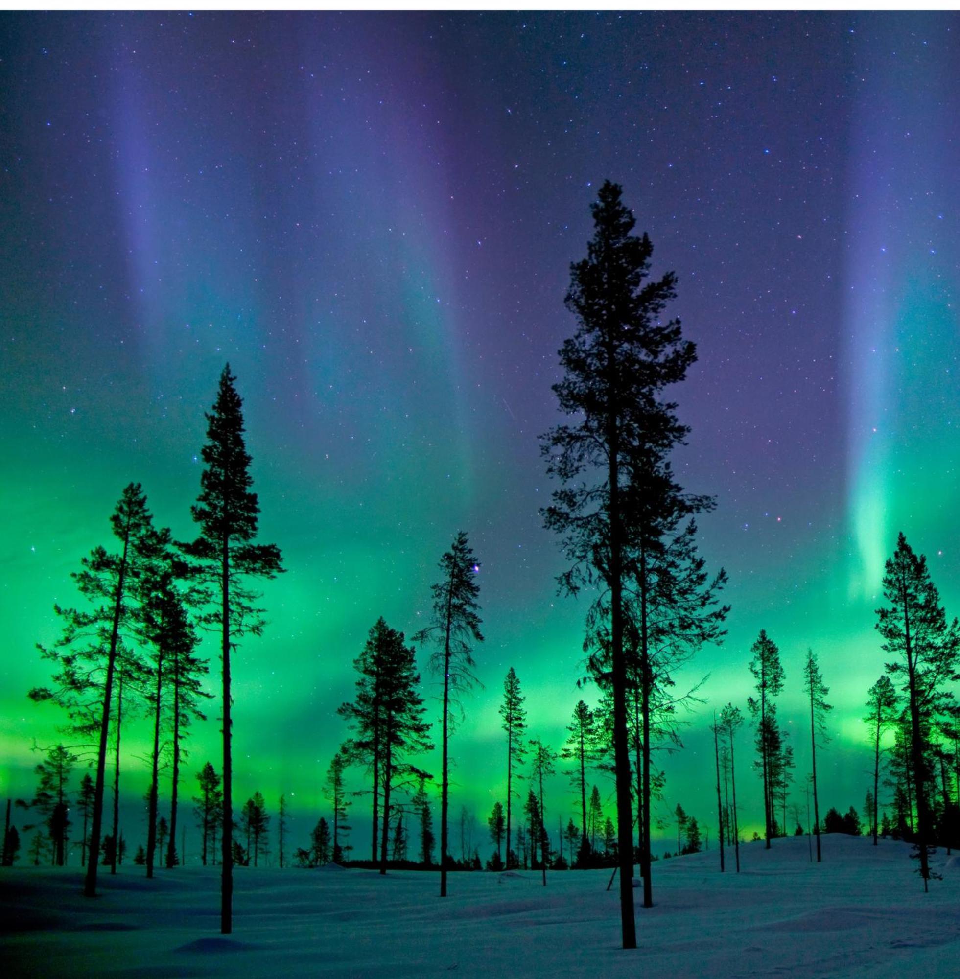 Вилла Skog Aurora Igloos Каликс Экстерьер фото