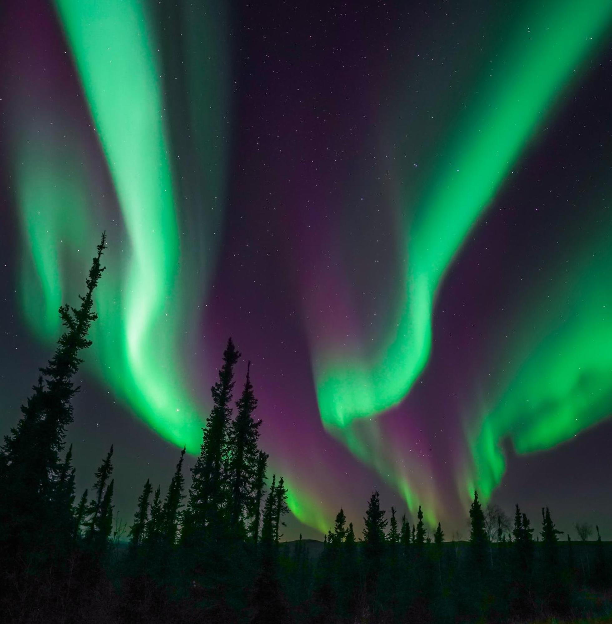 Вилла Skog Aurora Igloos Каликс Экстерьер фото