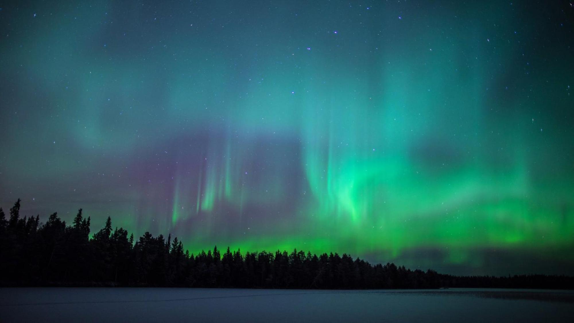 Вилла Skog Aurora Igloos Каликс Экстерьер фото